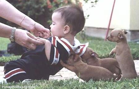 Puppies Helping A Kid Up