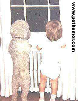 A Poodle And A Boy Wait By The Door